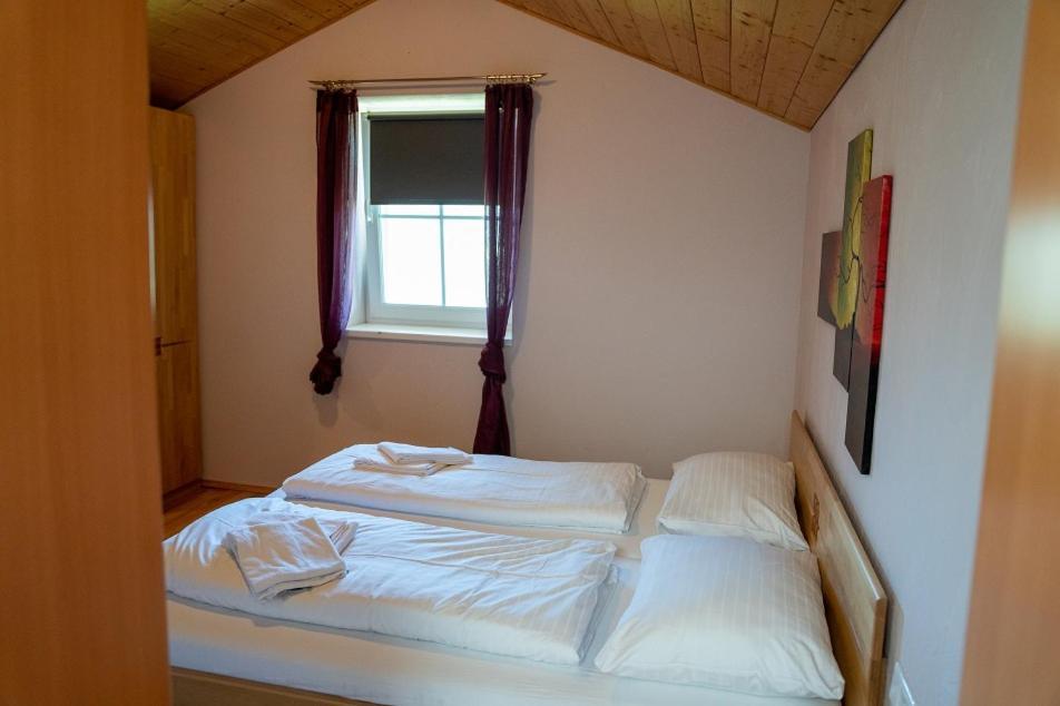 Rindis Platzl Apartmenthaus Schladming Ngoại thất bức ảnh